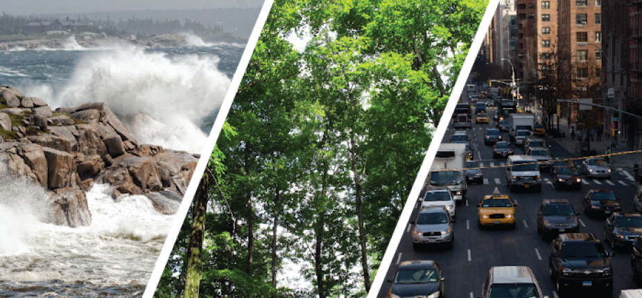 Collage of three images: 1) waves crashing over rocks; 2) trees; 3) cars on a city street