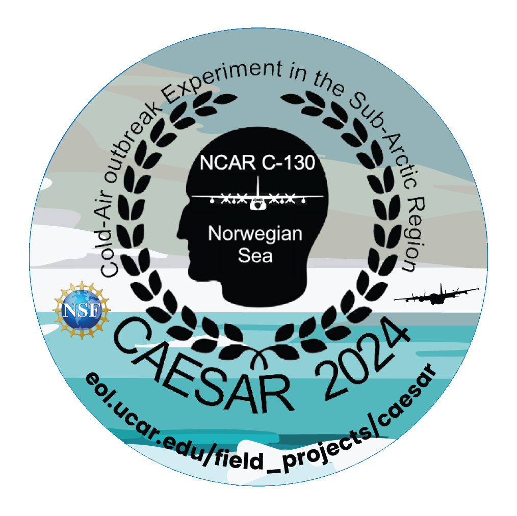 Logo of the CAESAR project showing the silhouetted head of a man surrounded by laurel wreaths on the background of an Arctic sea
