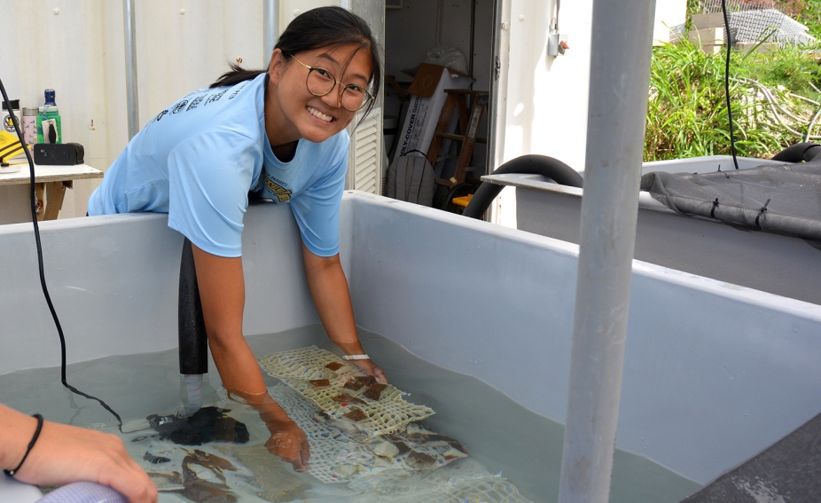 Ocean sciences REU student works in a tank