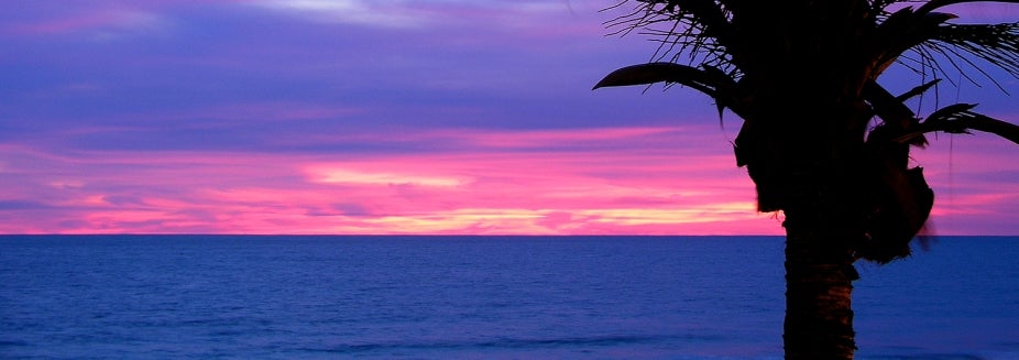 Sunset over the ocean with a palm tree in the foreground