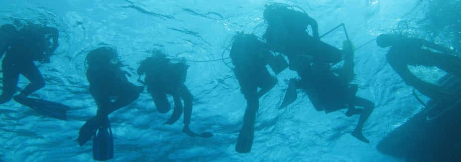 REU students in the BIOS program go scuba diving to collect data