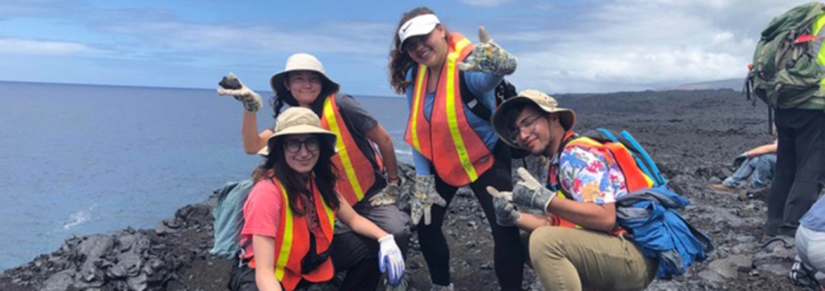 REU students working in the field