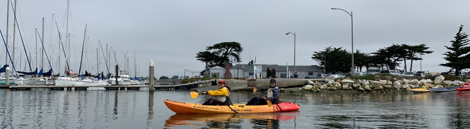 Monterey Bay ocean sciences REU students paddling kayaks in the bay