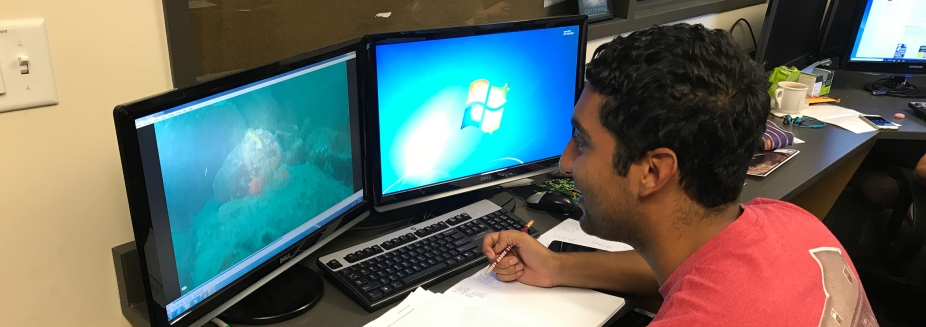 REU student works on a computer