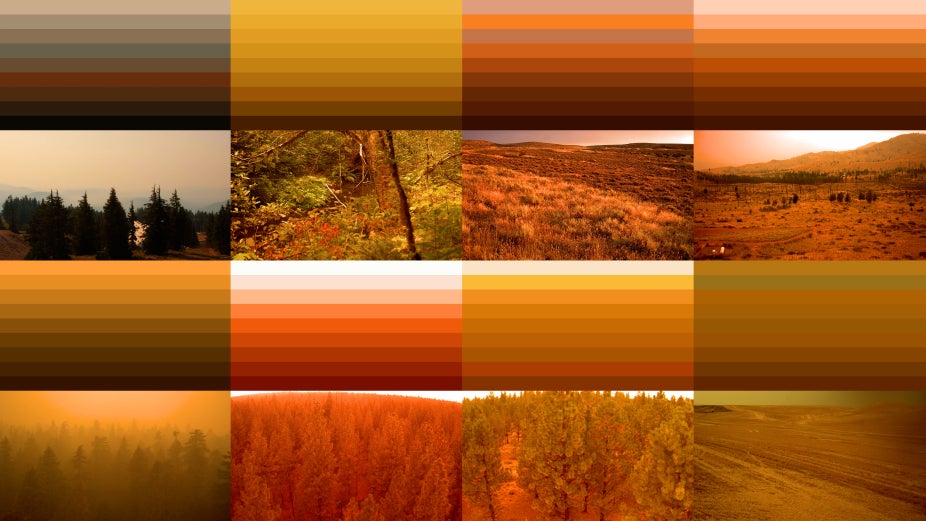 A series of images with lines and images of nature in an orange hue