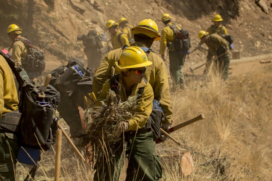 A firefighter removes plant debris for fire mitigation