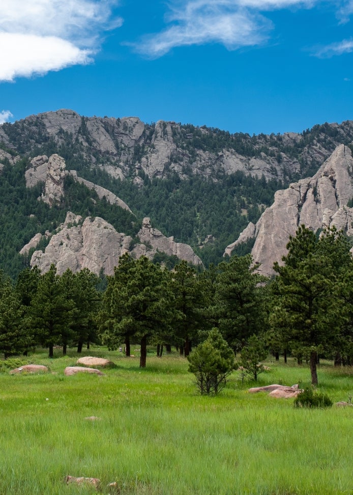 Looking across a green field towards the Boulder Flatiron mountains