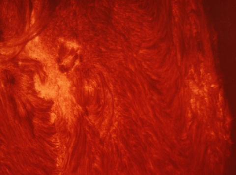 Close-up of active region of the sun