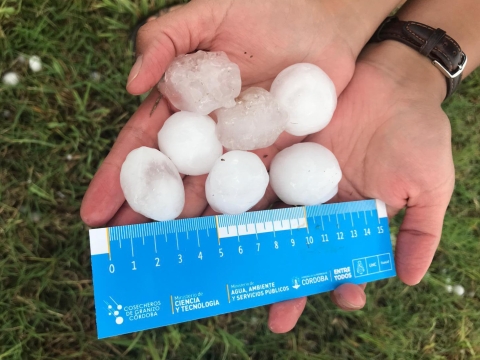 A researcher holds large hail stones that fell during a thunderstorm in Argentina