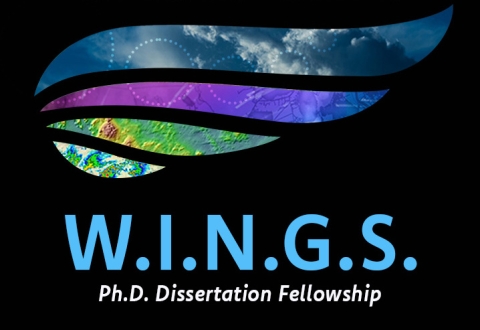 W.I.N.G.S program logo