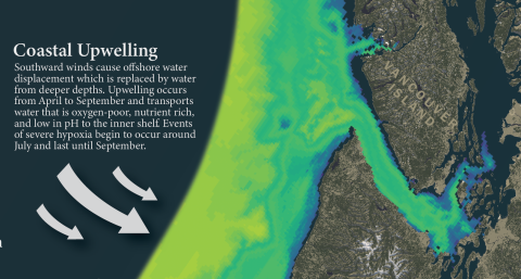 Coastal upswelling