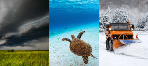 Three images - a storm over a crop field, a turtle and a plow moving snow. 
