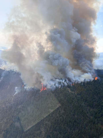 An aerial view of a wildfire spreading across forested hillside.